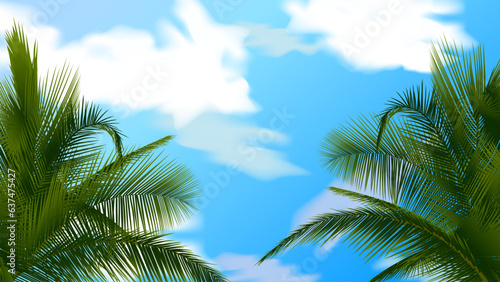 coconut palm leaves against the background of a clear blue cloudy sky  realistic illustration vector