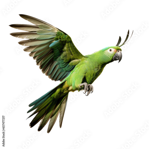 a amazon parrot in-flight in a Nature-themed, illustration in a PNG, cutout, and isolated. Generative ai