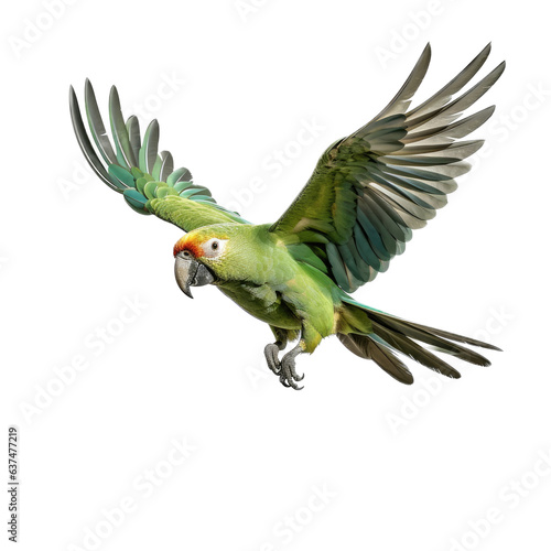 a green parrot in-flight, 3/4 view in a transparent PNG Nature-themed, full-body photorealistic illustration. Generative ai 