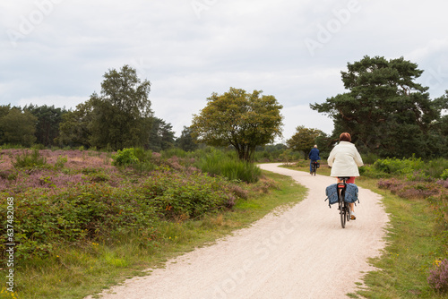 An elderly couple cycle through the Zuiderheide nature reserve near the village of Laren.