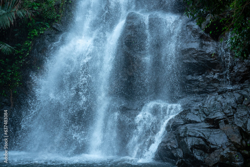 waterfall in the forest