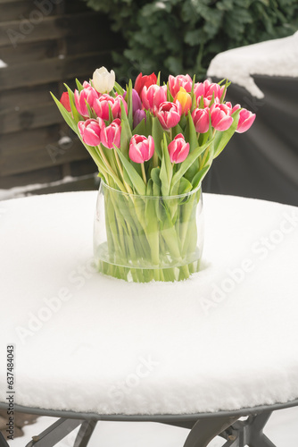 Tulpen auf einem Tisch im Schnee 
