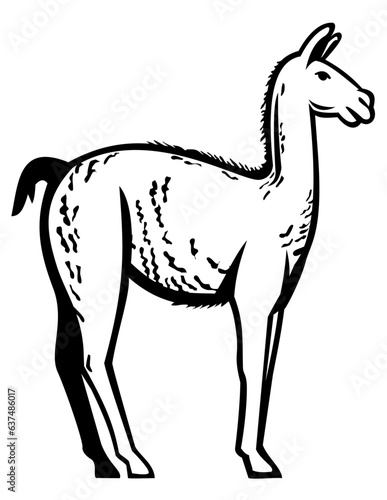Mascot illustration of wild guanaco or Lama guanicoe, a camelid native to South America, closely related to the llama viewed from side on isolated background in retro style.