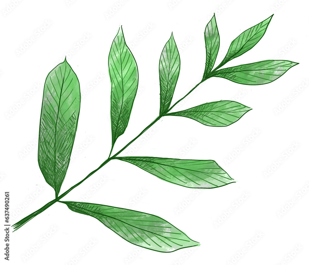 Fototapeta premium Vibrant and fresh illustration capturing the beauty of lush green leaves. Detailed botanical artwork showcasing the natural elegance and vibrancy of verdant foliage in intricate detail. 