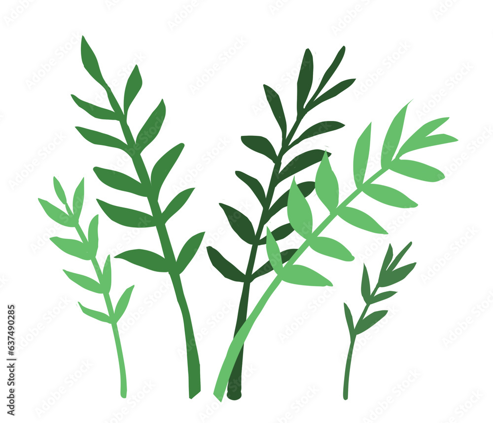 Detailed illustration showcasing the elegance of Zamioculcas zamiifolia, also known as Zanzibar gem or ZZ plant, aroid palm, eternity plant and emerald palm. A stylish and low-maintenance indoor folia Detailed illustration showcasing the elegance of Zamioculcas zamiifolia, also known as Zanzibar gem or ZZ plant, aroid palm, eternity plant and emerald palm. A stylish and low-maintenance indoor folia