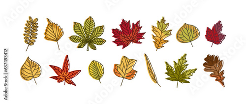 Set of Fall Leaves with offset contour Autumn concept