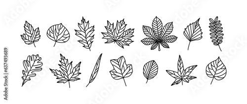 Fall Leaves Outline Autumn Leaf Set