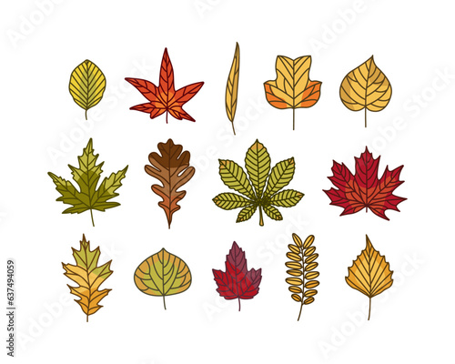 Fall Leaves, Autumn leaf set, Aspen, Oak, Willow, Horse Chestnut, Beech, Birch, Tulip Poplar ,Sweet Gum, Linden, Maple, Honey Locust