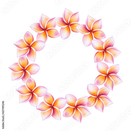 Watercolor frame with realistic tropical illustration of plumeria flowers with leaves isolated on white background. Beautiful botanical hand painted frangipani clip art. For designers, spa decoration