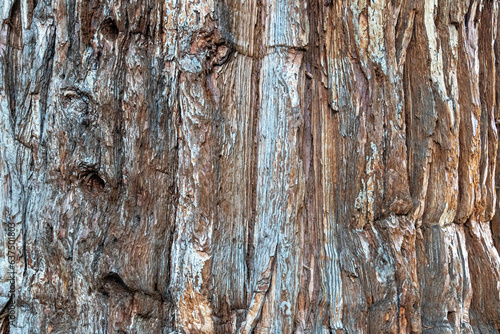 old wood texture