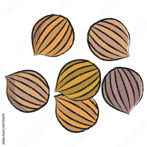 Hand drawn Coriander icon