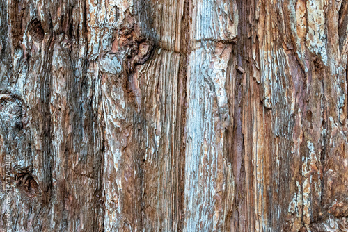 old wood texture