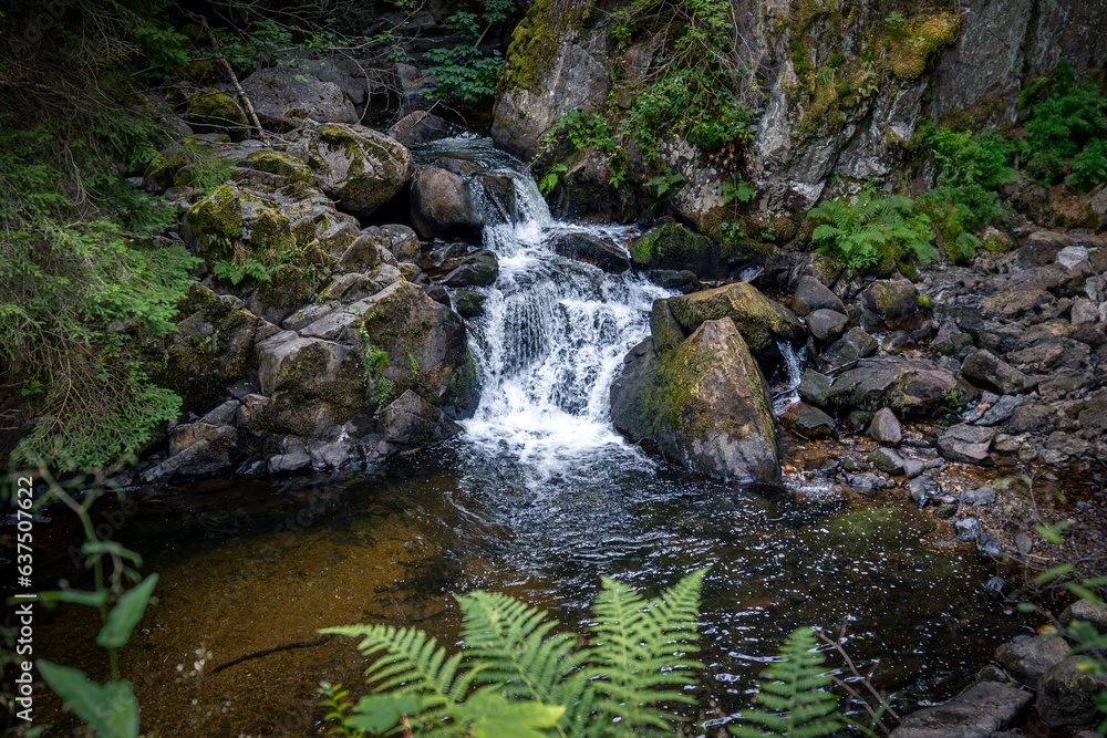 Fototapeta premium the beautiful forests, streams and waterfalls in the area of the French Vosges, this photo taken at the so-called 'cascade Saut des Cuves'