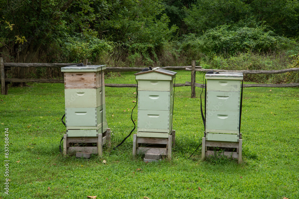 bee hives in the field bee hives in the field