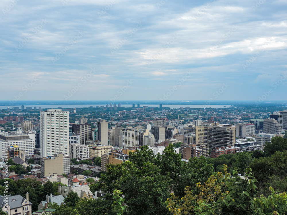 Montreal City with many buildings seen from a hill on a cloudy day