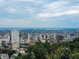 Montreal City with many buildings seen from a hill on a cloudy day