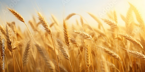 A field of golden wheat swayed in the breeze. Generative AI