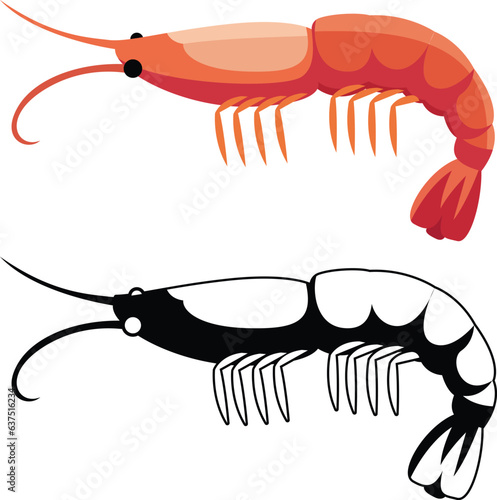 Orange Prawns Shrimp Flat Style Vector Illustration, Caridean Shrimp Colored and Black and White Stock Vector Image