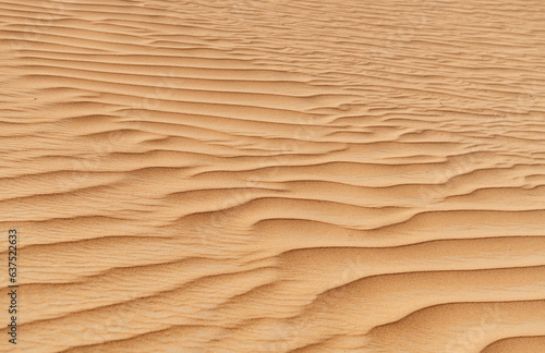 Sand Texture. Close up Photo of Desert Dune 