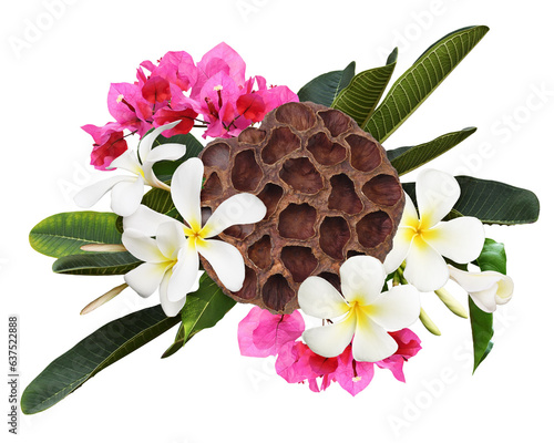 Fotomurale Tropical flowers and leaves in a floral holday arrangement isolated on white or