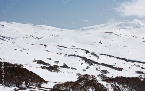 Slopes with trees in Charlotte's Pass ski resort in Australia