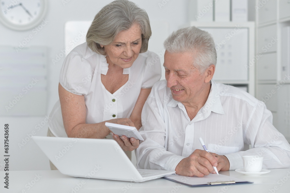 portrait of old people working with a laptop in the office portrait of old people working with a laptop in the office