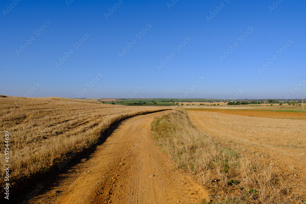 Naklejka premium Alentejo landscape, Portugal 2023