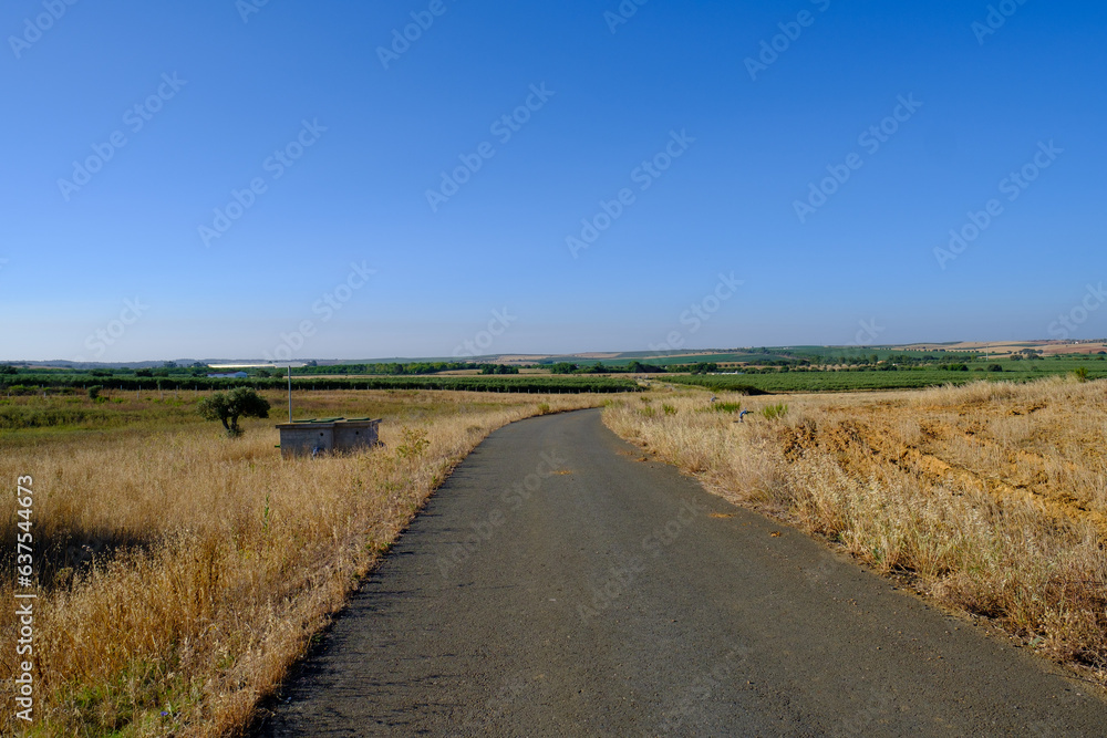 Alentejo landscape, Portugal 2023