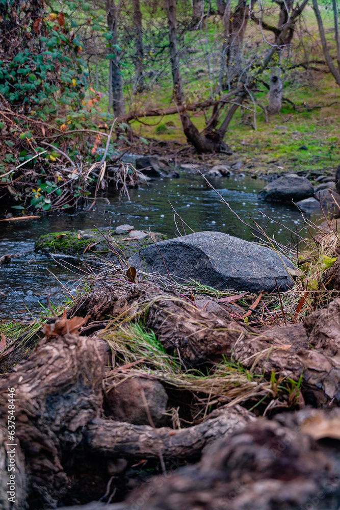 By the Creek By the Creek