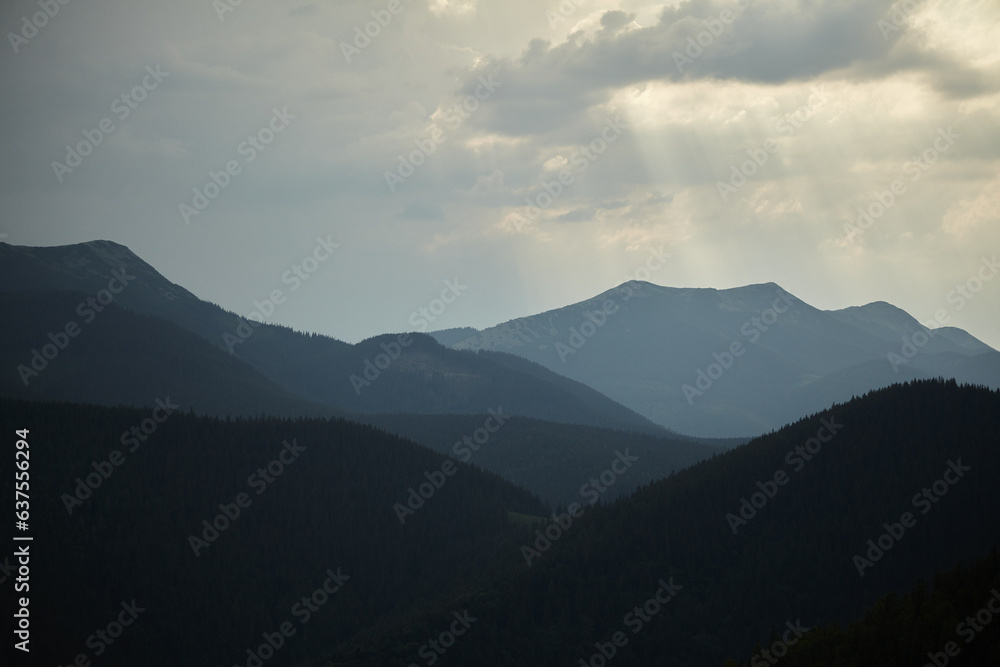 Carpathians, mountains in the fog, landscape of summer landscapes