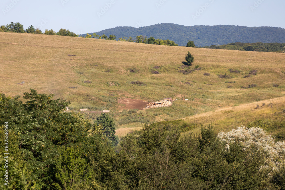 Fototapeta premium Green summer landscape in rural Romania