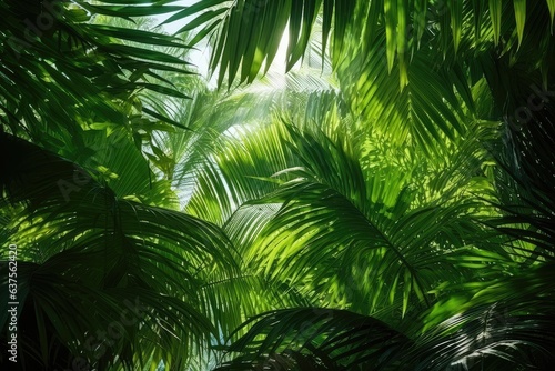 beautiful green jungle of lush palm leaves palm trees