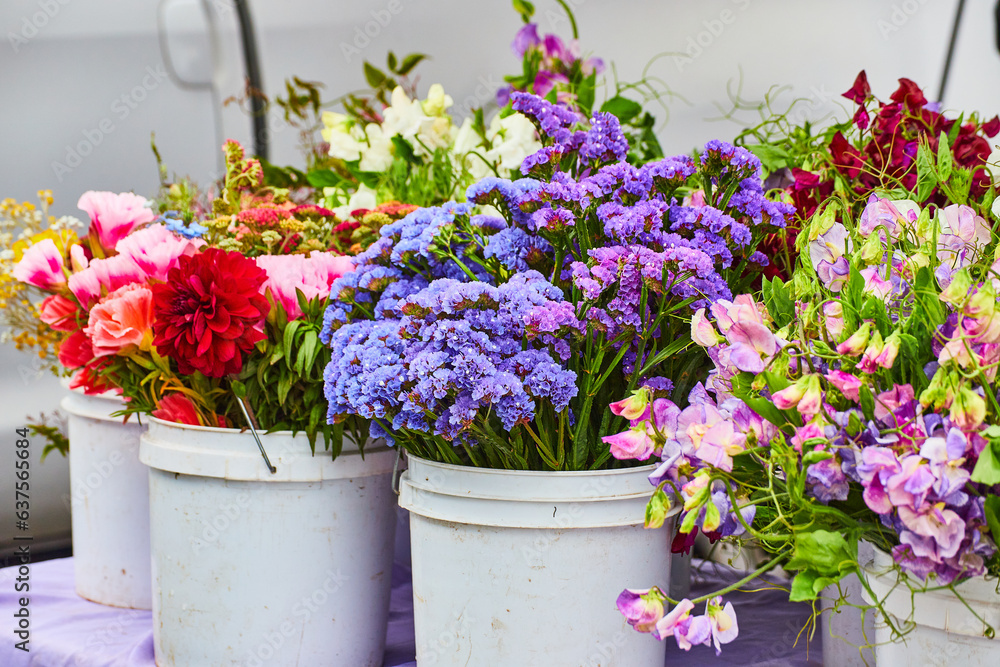 Ταπετσαρία Gorgeous flowers in large white buckets ready for sale