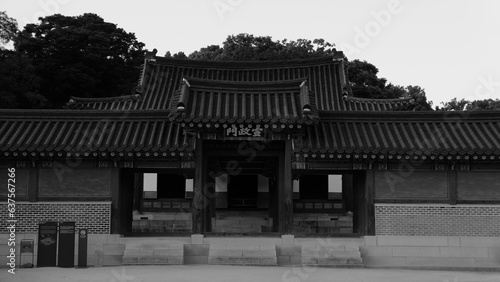 Photography Gyeongbok Palace, Seoul