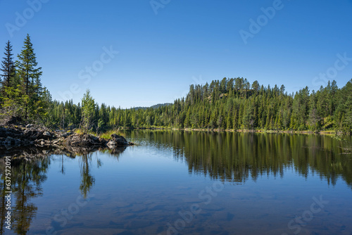 Fototapeta Naklejka Na Ścianę i Meble -  Scenic view of a lake, blue sky and pine forest reflected in water