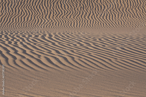 Intricate and well-defined patterns of light and shadow produced by waves in the sand at the Algodones Sand Dunes in Southern California photo