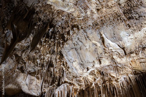 Stalactites inside the Lehman caves, Nevada photo