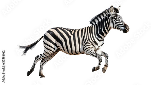 a Zebra running  side view in a Wildlife-themed  photorealistic illustration in a PNG  cutout  and isolated. Generative ai