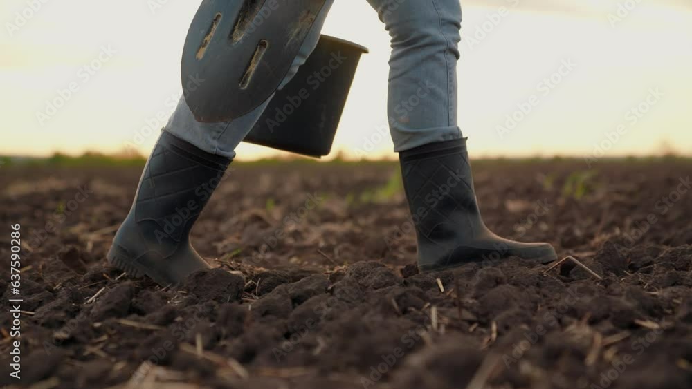 Agricultural industry. Farmer in boots walks across field. Farmer working in field, sunset