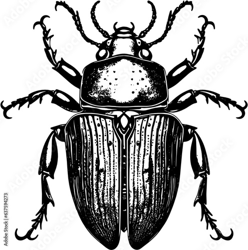 Skarabäus, Mistkäfer-Silhouette