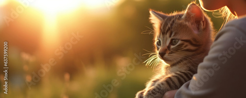 A determined animal caretaker stands atop a grassy hill a tabby kitten in her arms. The animal caretakers eyes appear focused and determined while the tiny kitten nuzzles its head into her crook