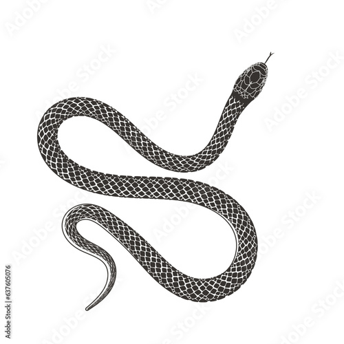 Isolated Black Serpent Snake Silhouette Illustration Vector Tattoo