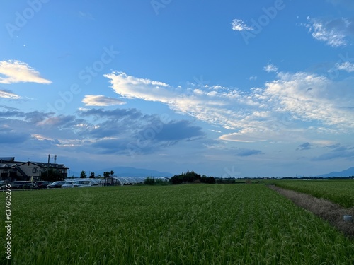 220823田んぼ樋越
220823田んぼ今塚

田んぼ, 空, 雲, 晴れ, 夕暮れ 