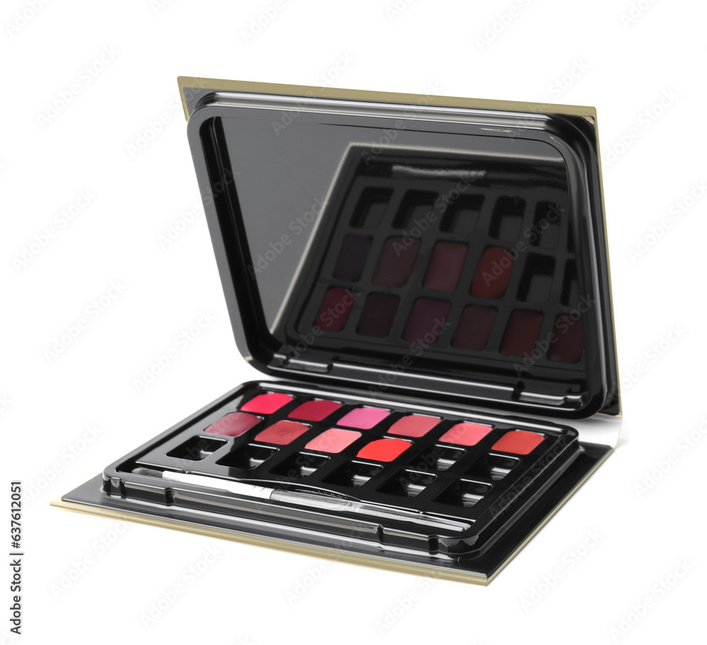 Colorful lip palette with brush isolated on white. Professional cosmetic product Colorful lip palette with brush isolated on white. Professional cosmetic product