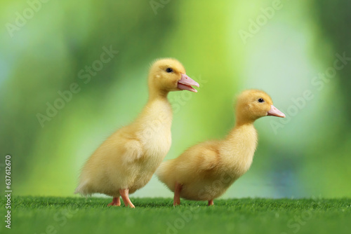 Cute fluffy ducklings on artificial grass against blurred background, closeup. Baby animals