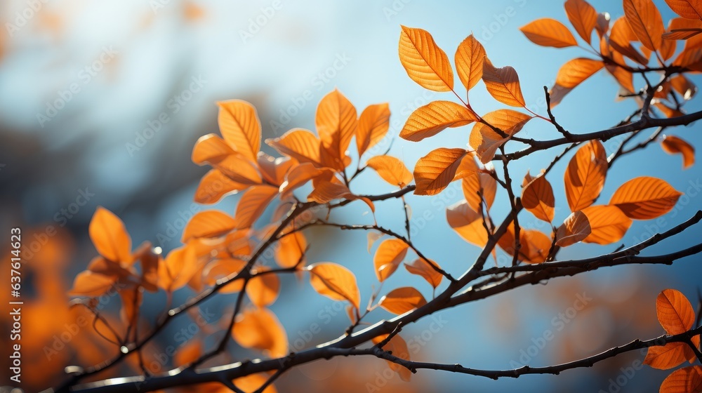 A beautiful branch of orange leaves in the light against the blue sky. Generative AI. A beautiful branch of orange leaves in the light against the blue sky. Generative AI.