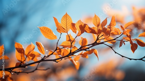 A beautiful branch of orange leaves in the light against the blue sky. Generative AI. 