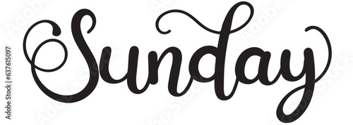 Happy SUNDAY. Sunday days of the week with flowers. butterflies and leaves. Illustration (Sunday)	
