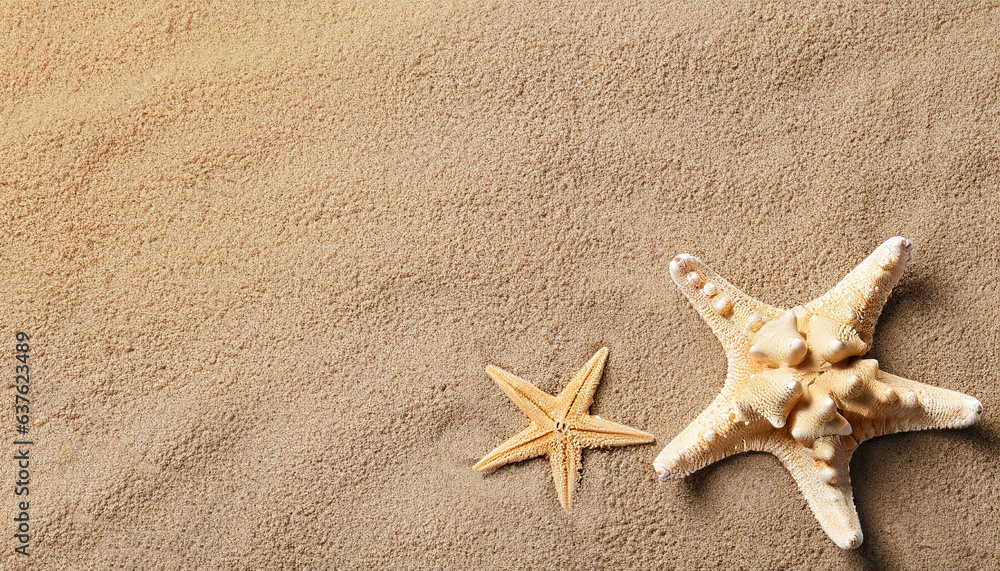 Beautiful starfish and space for text on beach sand, top view. Summer vacation Beautiful starfish and space for text on beach sand, top view. Summer vacation