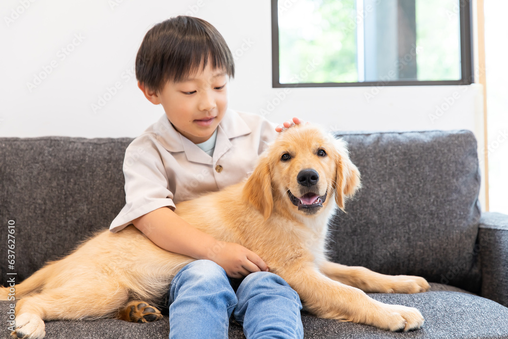 犬と戯れ合う子ども　child playing with a dog